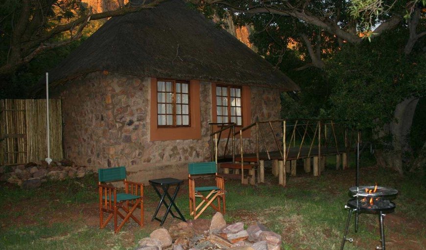 Welcome to Griffons Bush Camp. in Thabazimbi, Limpopo, South Africa