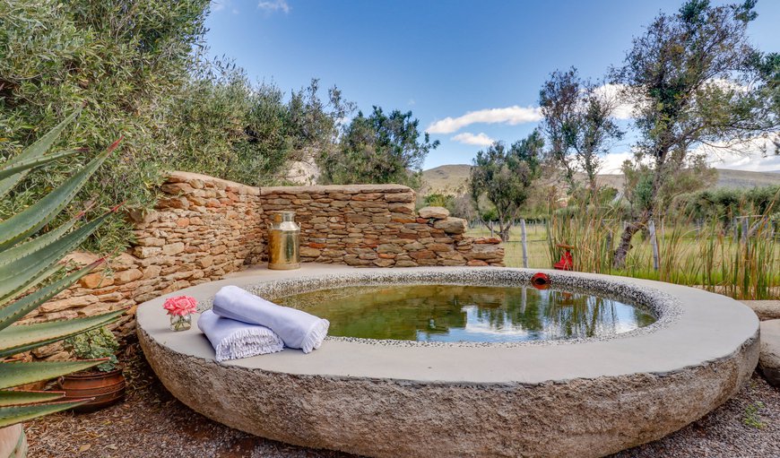 Olive Stone Farm and Cottages in Montagu, Western Cape, South Africa