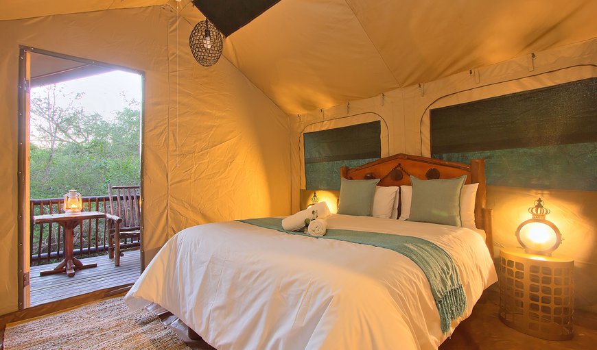 Safari Tented Room photo 45