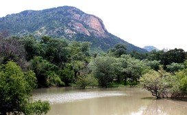 Thabaphaswa Mountain Sanctuary image