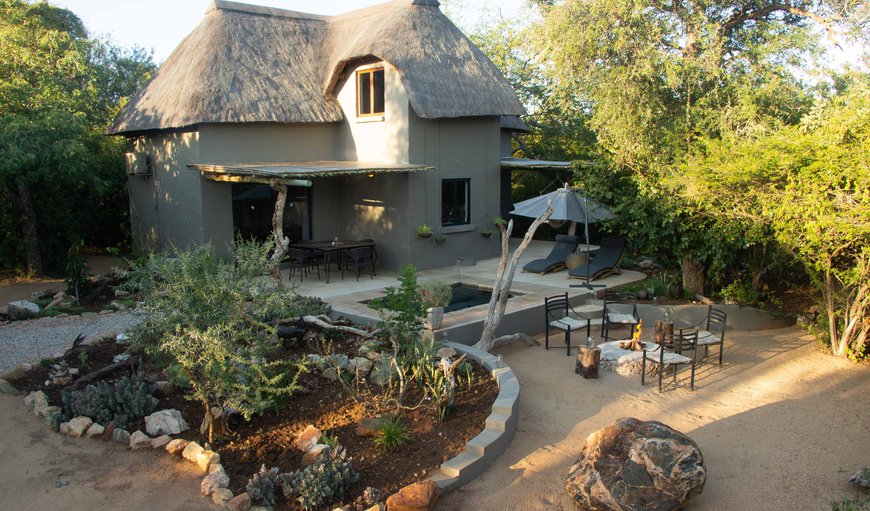 Welcome to The Bush House in Hoedspruit, Limpopo, South Africa