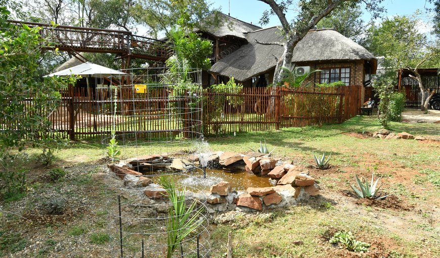 Welcome to Bona Ngwenya Lodge in Marloth Park, Mpumalanga, South Africa