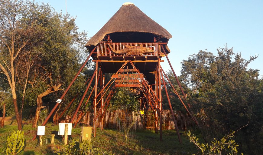 Bona Ngwenya Lodge
