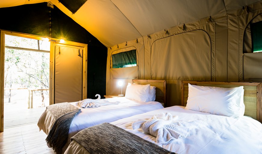 Luxe Safari Tent 1: Meru-style Tent Interior