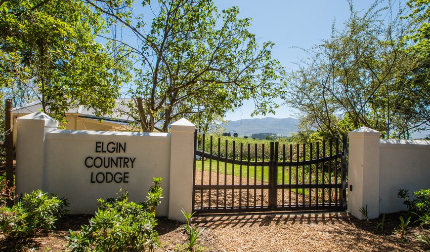 Elgin Country Lodge is a restored old farmhouse on a working apple farm in the well-known fruit farming district of the Elgin Valley, just off Sir Lowry’s Pass, which boasts some of the most beautiful apple and pear tree plantations in the country.