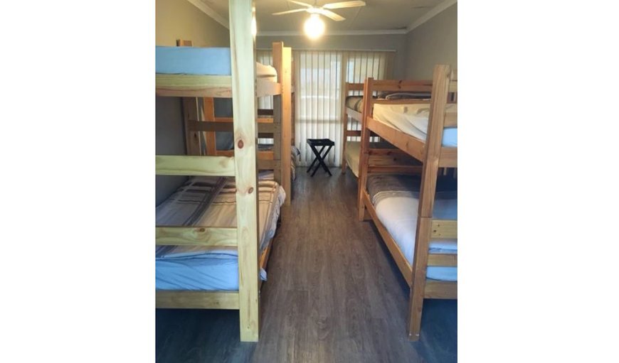 Big Sunny Dorm Room: Big Sunny Dorm Room - Bedroom with 7 bunk beds