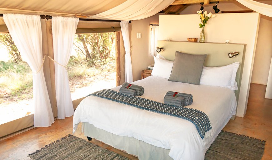 Swempie Luxury Tent: Swempie Honeymoon Tent bedroom