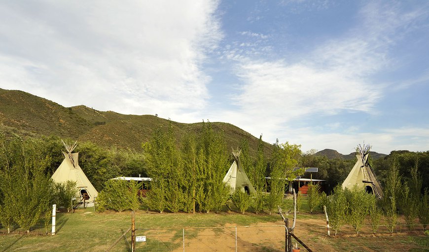 Lancewood TiPi's in Robertson, Western Cape, South Africa