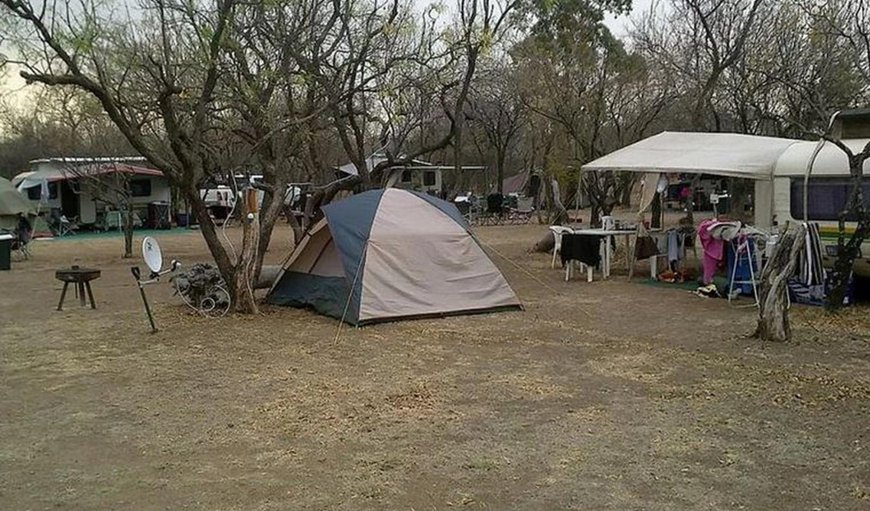 Camp Site 2: Camp Site 2