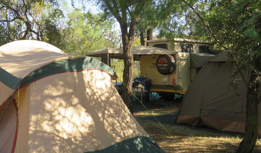 Camp Site 6: Camp Stand D