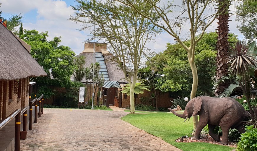 Welcome to Klein Bosveld Guesthouse! in Die Heuwel, Witbank, Mpumalanga, South Africa