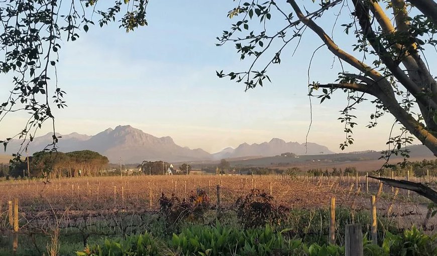 Welcome to Rouana Guest Farm in Firgrove, Stellenbosch, Western Cape, South Africa