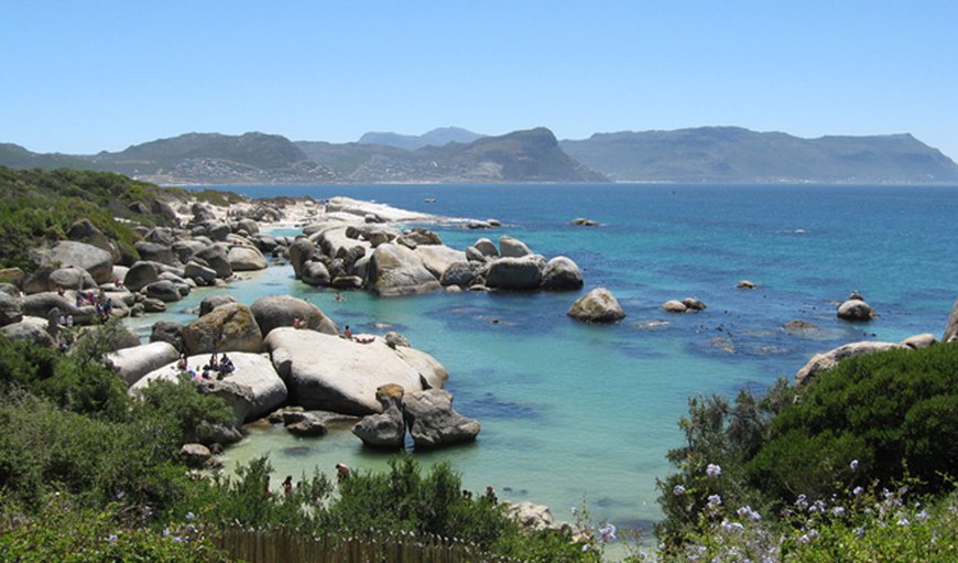 View of Boulders Beach and False Bay from Bosky Dell Guest Lodge in Simon's Town, Cape Town, Western Cape, South Africa