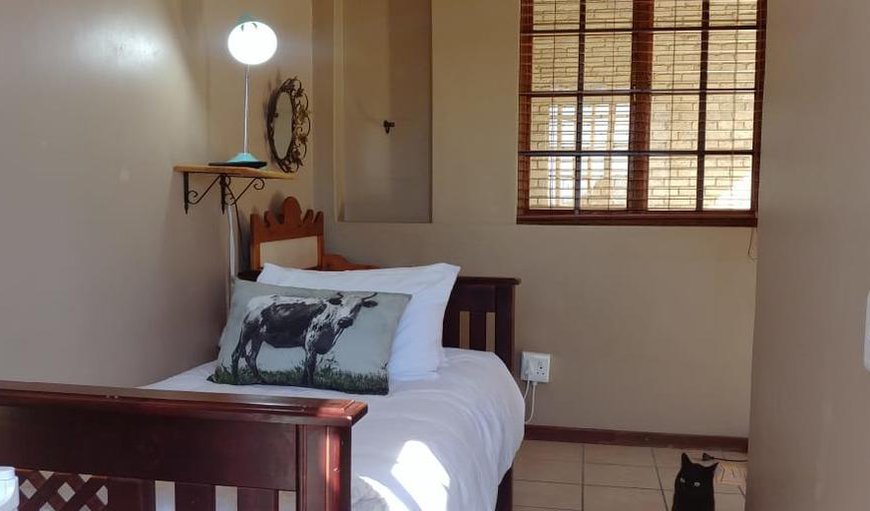 Chameleon Room: Chameleon Room - This room is furnished with one single bed, a TV with DSTV, a small fridge, kettle, fireplace and shower.