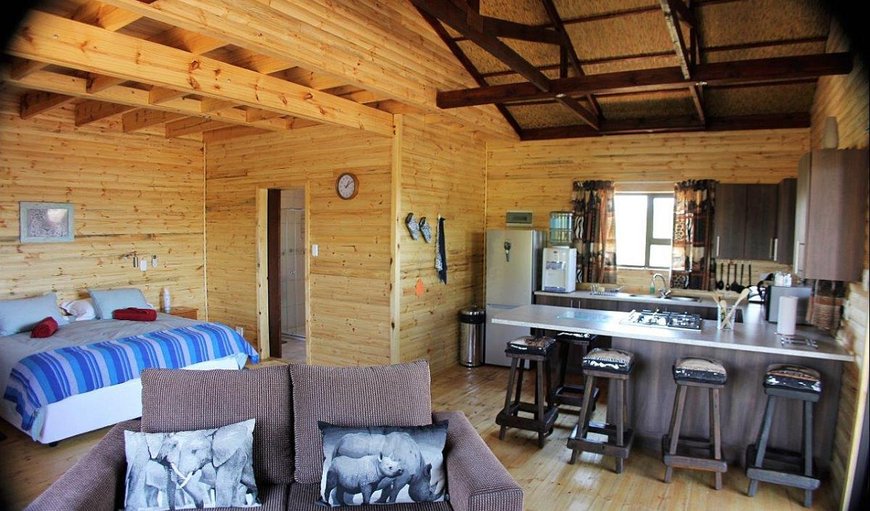 Family Cabin 4: Loft Cabin with an open-plan lounge and kitchen area.