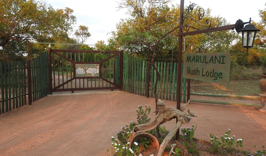 Welcome at ...... Marulani Bush Lodge.
Where families and friends get together to appreciate nature at it's best! in Dinokeng Game Reserve, Gauteng, South Africa