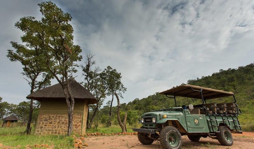 Bushcamp in Modimolle (Nylstroom), Limpopo, South Africa