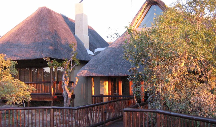 Welcome to Matingwe Lodge and Private Game Reserve in Vaalwater, Limpopo, South Africa