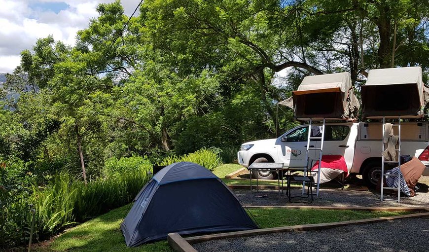 Campsite (SITE ONLY) Bring own tent: Caravan Site