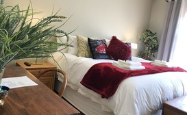 59 on True North Guest Rooms image