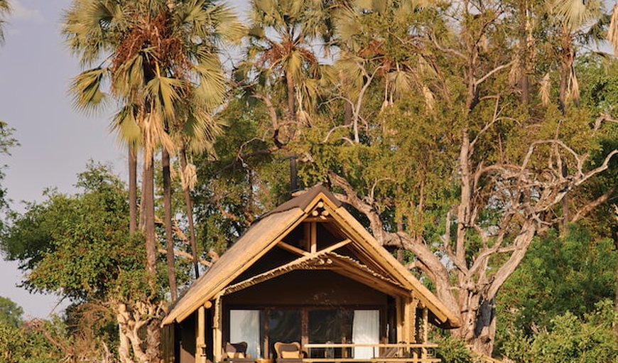 Luxury tented rooms of Savute Elephant Lodge: Luxury Tented Rooms.
