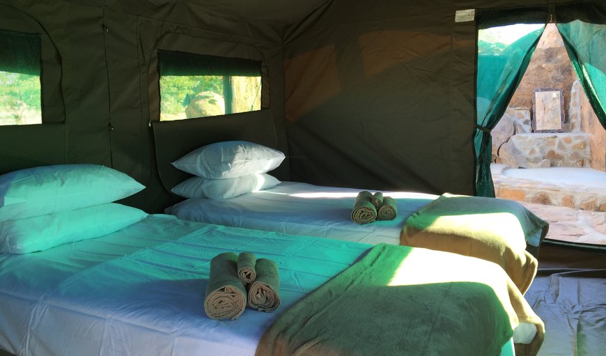 Safari Tent: Safari Tent