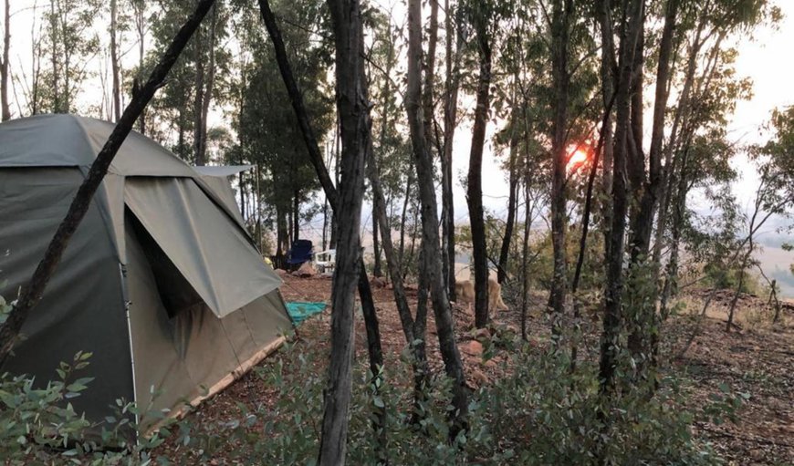 Campsite 1: Campsite - Please bring your own tent
