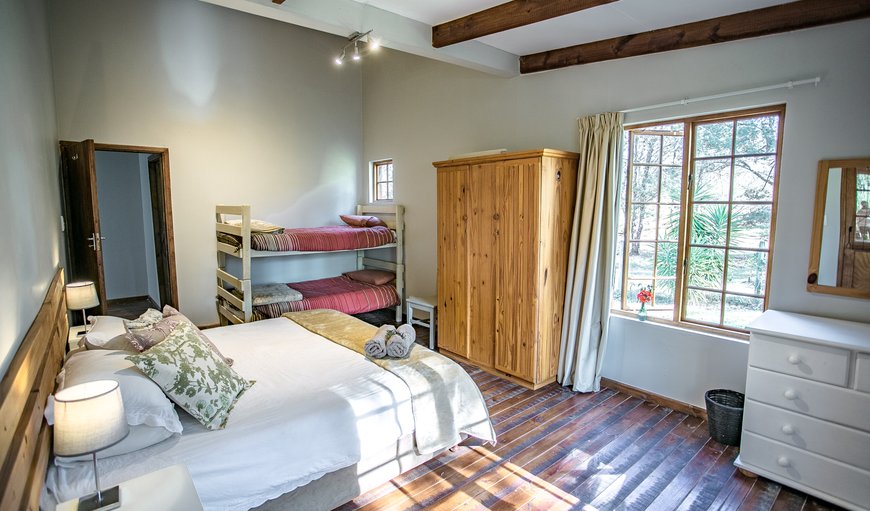 Nguni Country Lodge  3 (6 adults/2 kid): Nguni family room with 1 x King and 2 x single bunks.