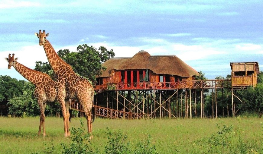 Dream Tree House in Hoedspruit, Limpopo, South Africa
