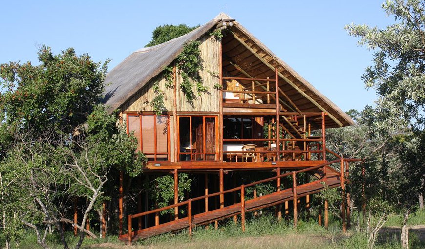 Bushwillow (Superior Tree House): Family Treehouse Pezulu Lodge