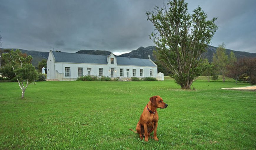 Welcome to The Homestead (Manor House)! in Stanford, Western Cape, South Africa