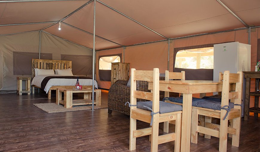 Luxury tent with braai facilities: Interior of The Luxury Tent