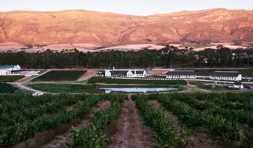 Rijks Wine Estate & Hotel in Tulbagh, Western Cape, South Africa