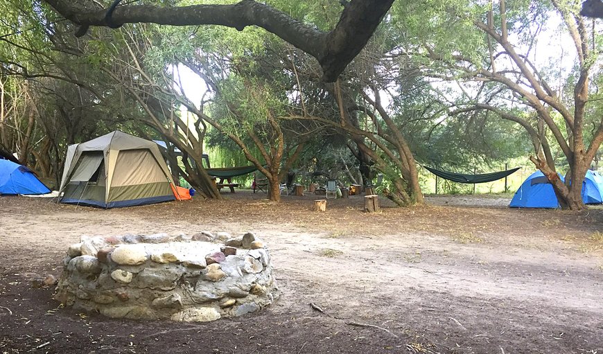 Camping: Nestled in a big open area surrounded by pecan nut, oak and karee trees, is our large and shaded campsite