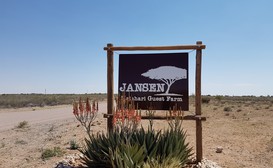 Jansen Kalahari Guest Farm image