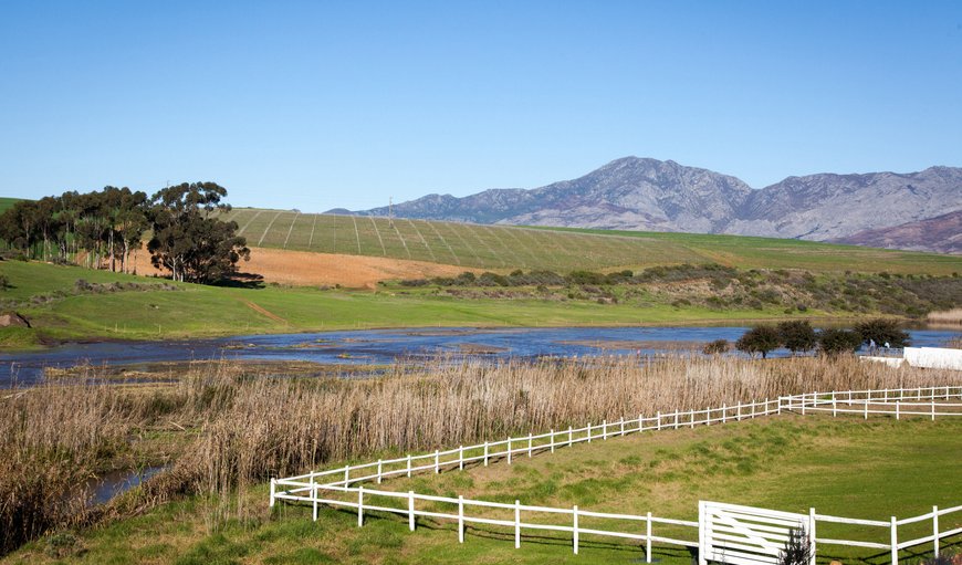 Welcome to Swaynekloof Farm in Bot River (Botrivier), Western Cape, South Africa