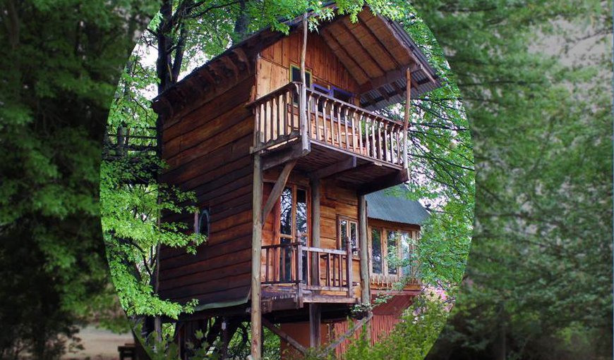 Our Romantic Treehouse in Mooi River, KwaZulu-Natal, South Africa