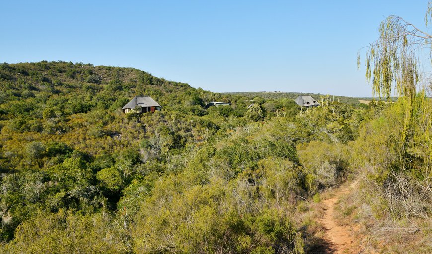 Aerial view Bush Lodge in Kenton-on-sea, Eastern Cape, South Africa