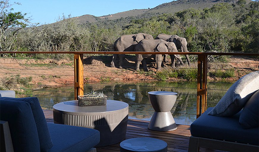 Welcome to Barefoot Addo Elephant Lodge in Addo, Eastern Cape, South Africa