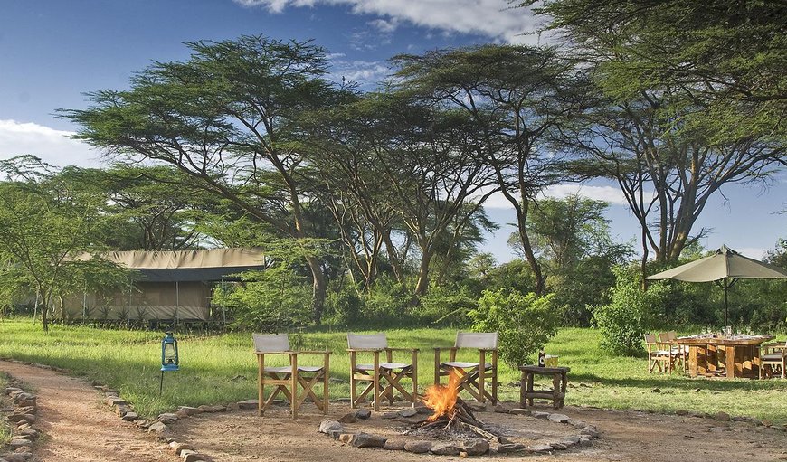 Welcome to Porini Mara Camp! in Masai Mara, Rift Valley, Kenya