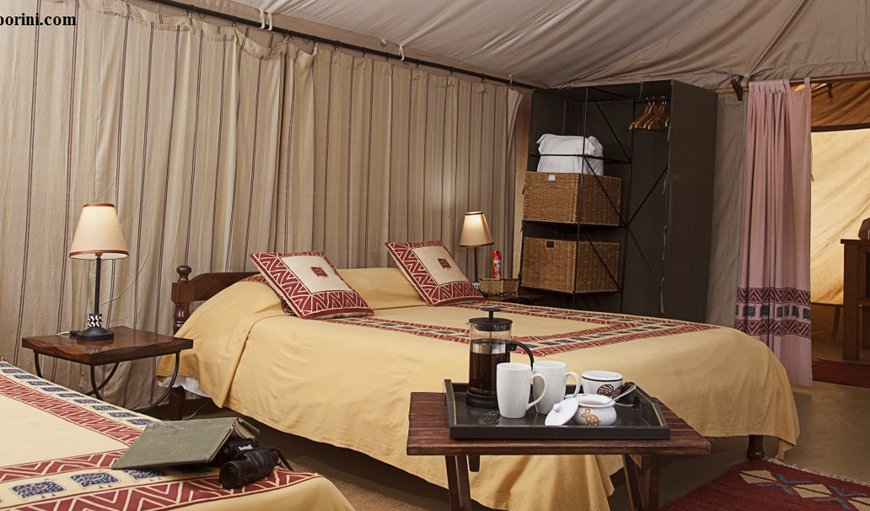 Porini Tent: Guest tents