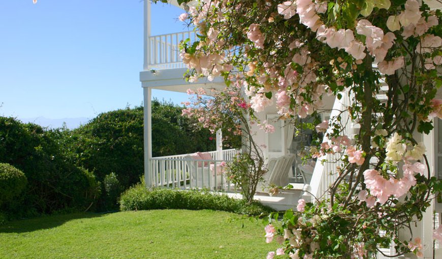 Gorgeous porch and garden