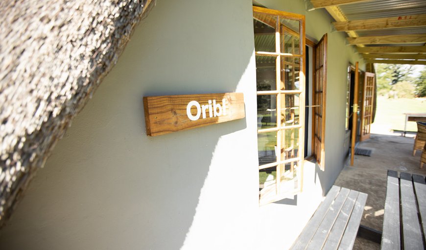 Oribi Cottage photo 244