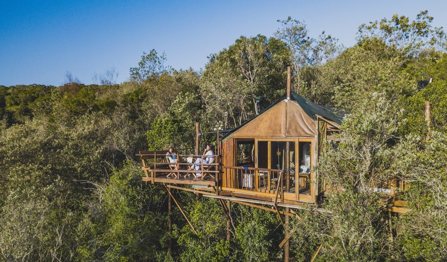Couples Treetop Suite: Gorgeview