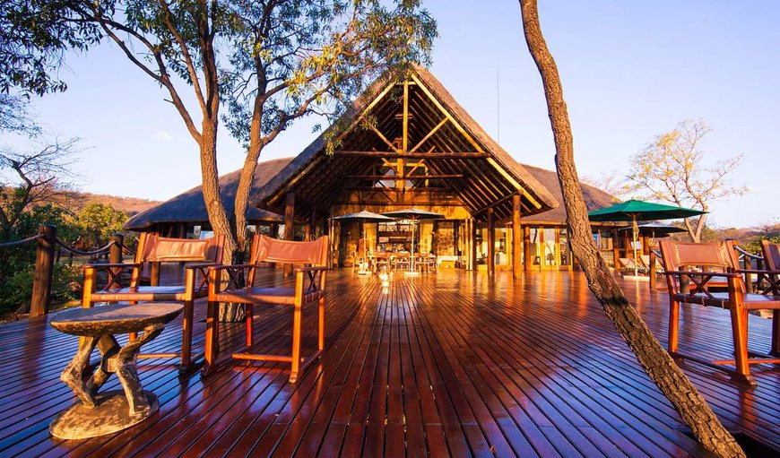 Welcome to Metsi Lodge in Welgevonden Game Reserve, Limpopo, South Africa