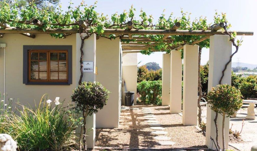 Welcome to Kokete Self Catering in Stellenbosch, Western Cape, South Africa