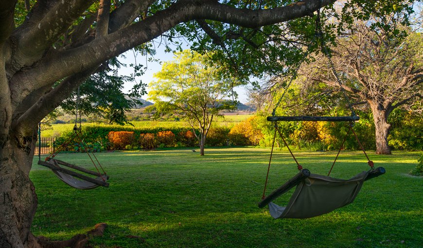 Garden in back-Hanging chairs and volleyball in Malelane, Mpumalanga, South Africa
