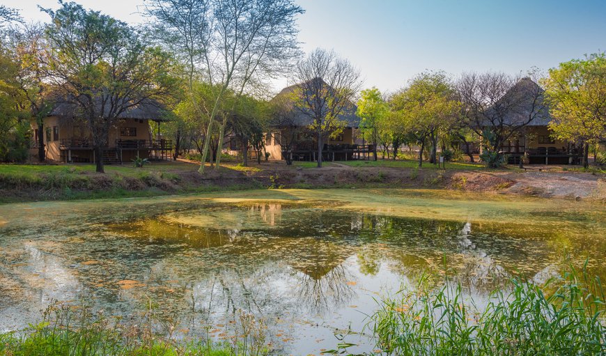 Welcome to Bush Villas on Kruger