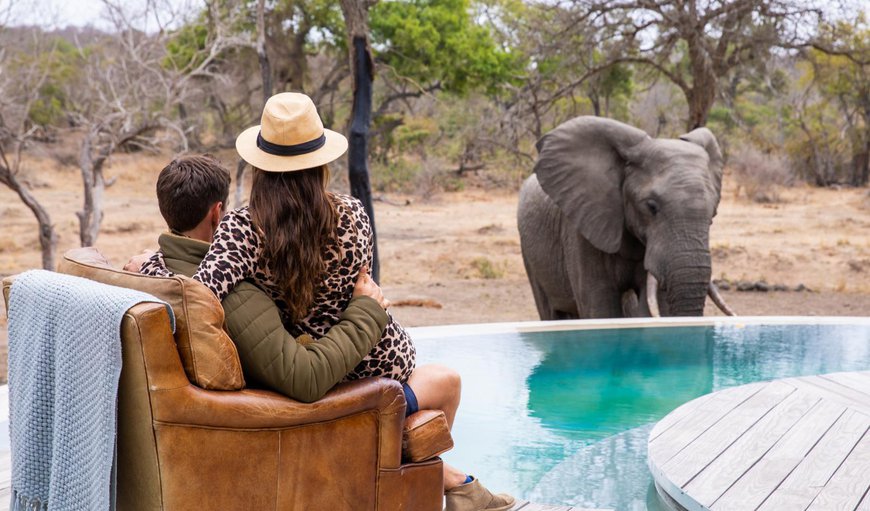 Welcome to Thornybush River Lodge in Thornybush Game  Reserve, Mpumalanga, South Africa