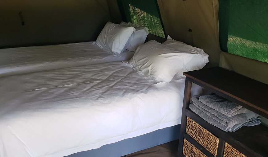 Luxury Safari tents: Tent inside